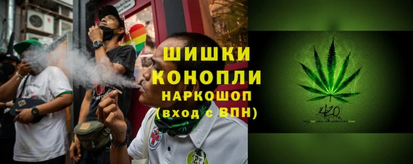 крисы Осинники