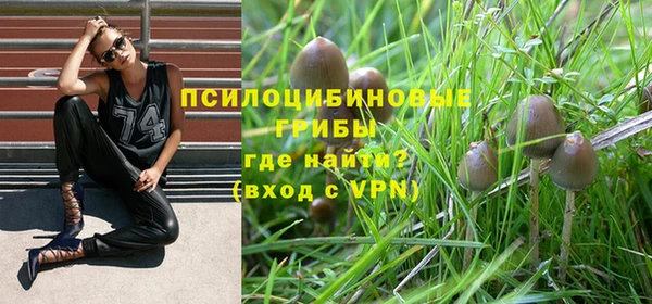 крисы Осинники