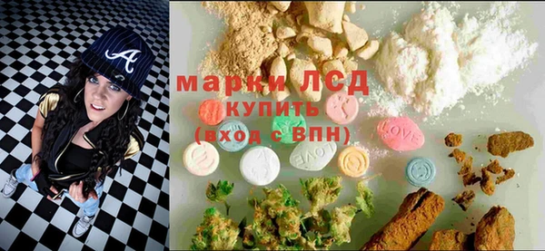 крисы Осинники
