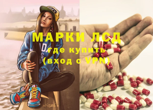 крисы Осинники