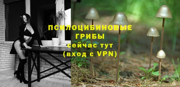 СК Осташков