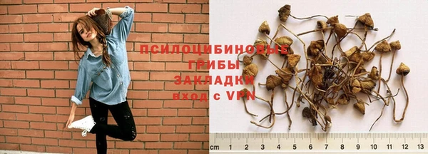 крисы Осинники