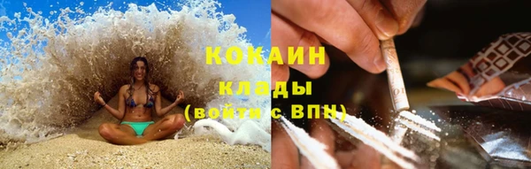 молекула духа Ахтубинск
